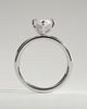 Hellen - Marquise Claw Solitaire with Hidden Halo Engagement Ring - 18k White Gold High Setting
