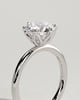 Iris  6 Claw Round Solitaire - 18k White Gold