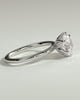 Iris  6 Claw Round Solitaire - 18k White Gold