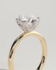 Iris  6 Claw Round Solitaire - 18k Yellow Gold / 18k White Gold