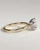 Iris  6 Claw Round Solitaire - 18k Yellow Gold / 18k White Gold