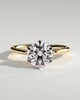 Iris  6 Claw Round Solitaire - 18k Yellow Gold / 18k White Gold