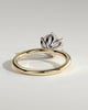 Iris  6 Claw Round Solitaire - 18k Yellow Gold / 18k White Gold