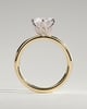 Iris  6 Claw Round Solitaire - 18k Yellow Gold / 18k White Gold