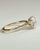 Iris  6 Claw Round Solitaire - 18k Yellow Gold
