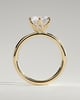 Iris  6 Claw Round Solitaire - 18k Yellow Gold