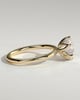 Iris  6 Claw Round Solitaire - 18k Yellow Gold