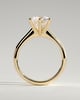 Jacqueline  6 Claw Round Solitaire - 18k Yellow Gold