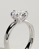 Jayden - 6 Claw Round Solitaire with Cigar Band - 18k White Gold