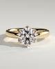 Jayden - 6 Claw Round Solitaire with Cigar Band - 18k Yellow Gold