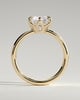 Jayden - 6 Claw Round Solitaire with Cigar Band - 18k Yellow Gold
