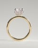 Joy - Round Claw Solitaire with Petal Gallery and Accent Leaf Detail Engagement Ring - 18k Yellow Gold / 18k White Gold