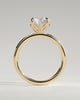 Joy - Round Claw Solitaire with Petal Gallery and Accent Leaf Detail Engagement Ring - 18k Yellow Gold