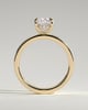 Kai - Elongated Cushion Flat Cigar Band Solitaire with Hidden Halo - 18k Yellow Gold
