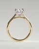 Kimberly - Pear Claw Solitaire with Hidden Halo and Cathedral High Setting Engagement Ring - 18k Yellow Gold / 18k White Gold