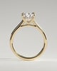 Kimberly - Pear Claw Solitaire with Hidden Halo and Cathedral High Setting Engagement Ring - 18k Yellow Gold