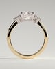 Lena - Cushion with Round Accent Stones - 18k Yellow Gold / 18k White Gold