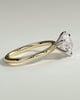 Louise  6 Claw Round Solitaire - 18k Yellow Gold / 18k White Gold