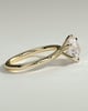 Louise  6 Claw Round Solitaire - 18k Yellow Gold