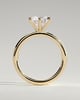 Louise - Round 6 Claw Solitaire Engagement Ring - 18k Yellow Gold