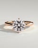 Mahlia - Round Solitaire with Sweeping Micro Pav - 18k Rose Gold