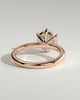 Mahlia - Round Solitaire with Sweeping Micro Pav - 18k Rose Gold