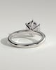 Mahlia - Round Solitaire with Sweeping Micro Pav - 18k White Gold