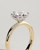 Mahlia - Round Solitaire with Sweeping Micro Pav - 18k Yellow Gold / 18k White Gold