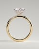 Mahlia - Round Solitaire with Sweeping Micro Pav - 18k Yellow Gold / 18k White Gold