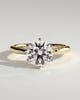Mahlia - Round Solitaire with Sweeping Micro Pav - 18k Yellow Gold / 18k White Gold
