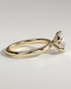 Mahlia - Round Solitaire with Sweeping Micro Pav - 18k Yellow Gold