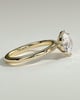 Mahlia - Round Solitaire with Sweeping Micro Pav - 18k Yellow Gold