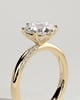 Mahlia - Round Solitaire with Sweeping Micro Pav - 18k Yellow Gold