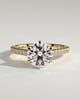 Maisy - 6 Claw Cathedral Round Solitaire with French Pav - 18k Yellow Gold