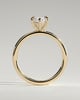 Marly - Classic Marquise 6 Claw Solitaire Engagement Ring - 18k Yellow Gold High Setting