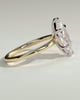 Marly - Classic Marquise 6 Claw Solitaire Engagement Ring - 18k Yellow Gold / 18k White Gold Low Setting