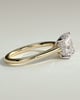 Natalie  Cathedral Princess Solitaire with Hidden Halo - 18k Yellow Gold / 18k White Gold