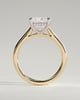 Natalie  Cathedral Princess Solitaire with Hidden Halo - 18k Yellow Gold / 18k White Gold