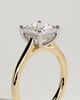 Natalie  Cathedral Princess Solitaire with Hidden Halo - 18k Yellow Gold / 18k White Gold