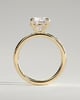 Nekija - 4 Claw Round Solitaire with Accent Stones - 18k Yellow Gold