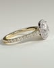 Nicole - 4 Claw Cushion Cut Halo with Pav - 18k Yellow Gold / 18k White Gold