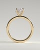 Nikita - Oval 4 Claw Solitaire with Flat Cigar Band and Hidden Halo Engagement Ring - 18k Yellow Gold High Setting
