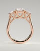Octavia - Trellis Round Trilogy - 18k Rose Gold