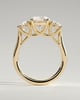 Octavia - Trellis Round Trilogy - 18k Yellow Gold
