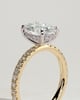 Paige - Oval 4 Claw Solitaire with Hidden Halo and Pave Band Engagement Ring - 18k Yellow Gold / 18k White Gold