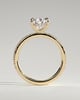 Pamela - Pear Claw Solitaire with Hidden Halo and Pave Band Engagement Ring - 18k Yellow Gold