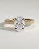 Penelope   Oval Solitaire with Hidden Halo and Triple Pav - 18k Yellow Gold / 18k White Gold