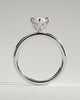 Robin - Marquise Claw Solitaire with Petal Gallery and Accent Leaf Detail Engagement Ring - 18k White Gold
