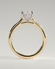 Scarlett - Oval Cathedral Solitaire with Hidden Halo - 18k Yellow Gold / 18k White Gold