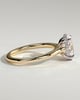 Scarlett - Oval Cathedral Solitaire with Hidden Halo - 18k Yellow Gold / 18k White Gold